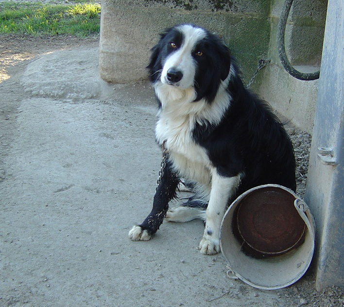 Fotografie von treebloke für DesignCrowd (Community Contests) | Design #9104554