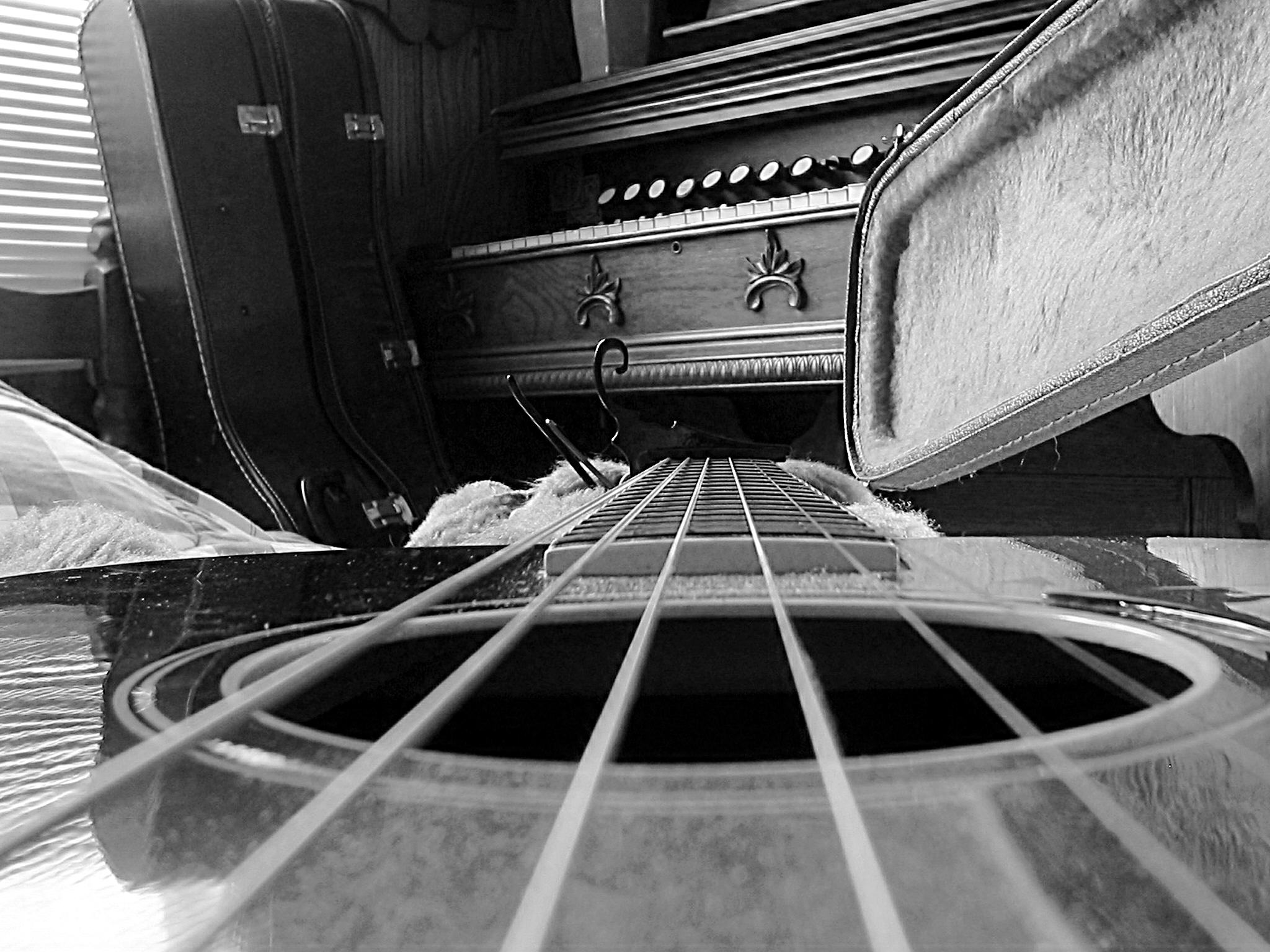 Photographie par RhondaatLaw pour DesignCrowd (Community Contests) | Design #9081099