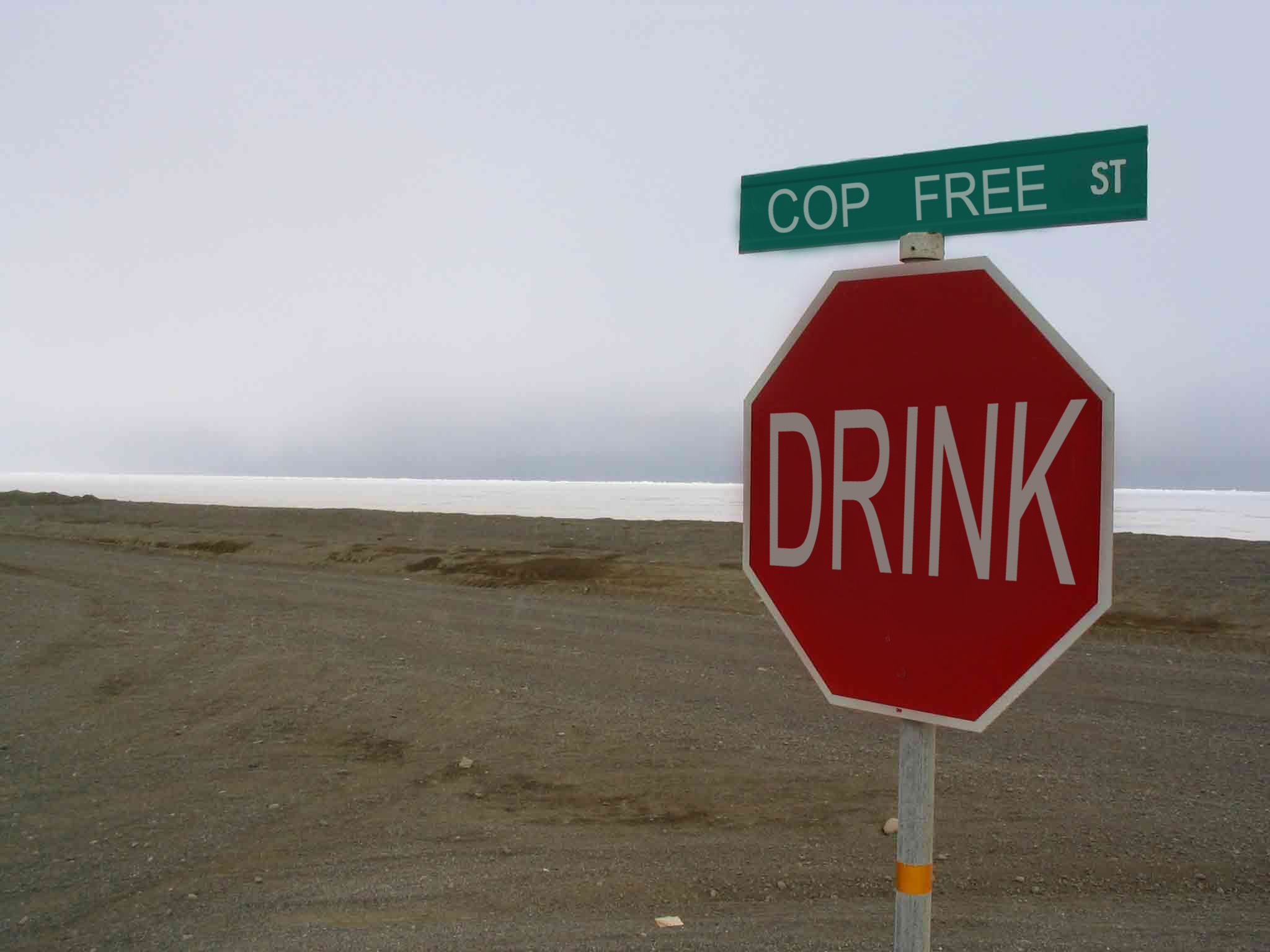 Photoshop Design by A1A1L1O1A1A1M2 for DesignCrowd (Community Contests) | Design #9090492