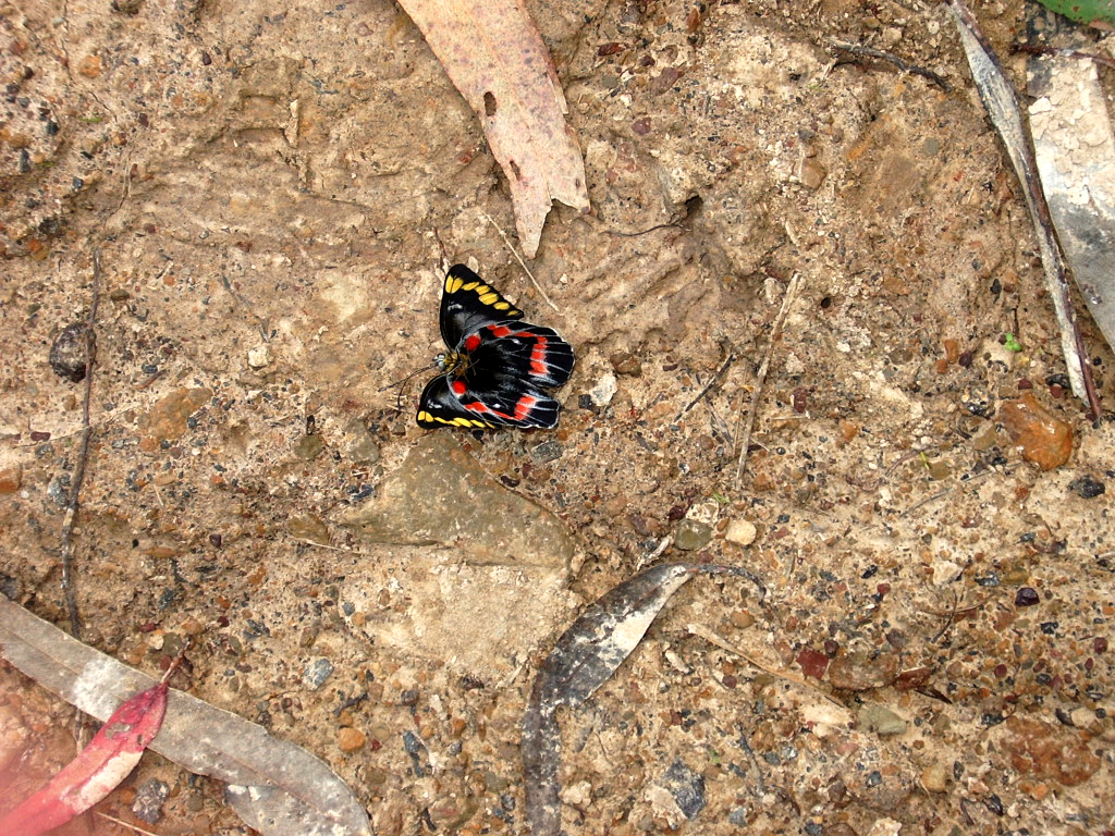 Fotografía por AMhoward para DesignCrowd (Community Contests) | Diseño #9104584