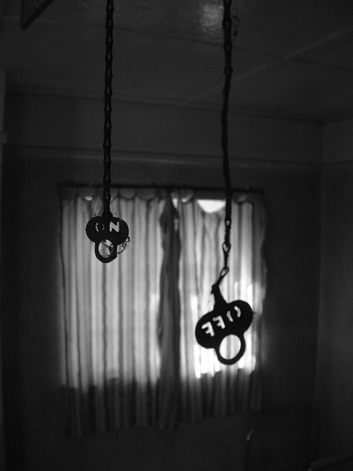 Photography by cranialscratch for DesignCrowd (Community Contests) | Design #9080868