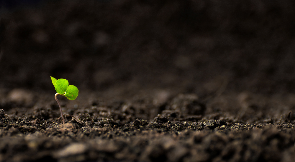 Fotografía por 1Mast1 para DesignCrowd (Community Contests) | Diseño #9104555