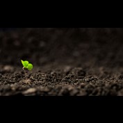 Photography by 1Mast1