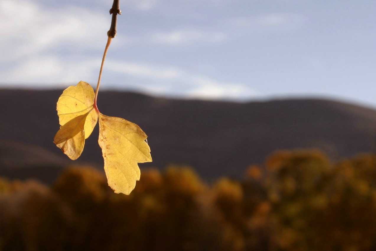 Photography by lothar for DesignCrowd (Community Contests) | Design #9104521