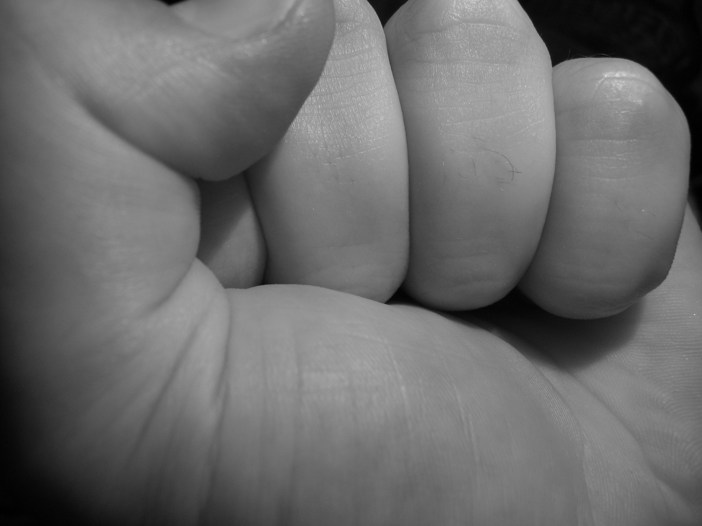 Fotografie von marcosd für DesignCrowd (Community Contests) | Design #9081248