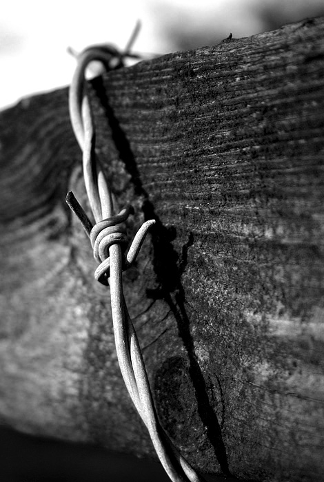 Photographie par cl_UK pour DesignCrowd (Community Contests) | Design #9081124