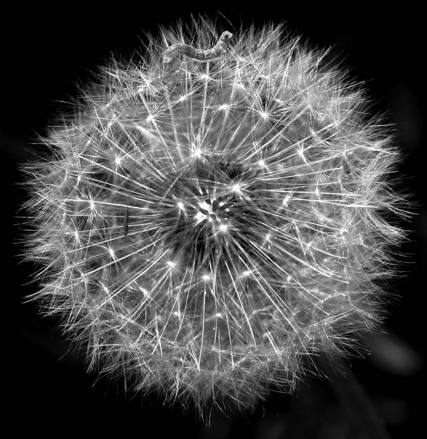 Photography by TerryLea for DesignCrowd (Community Contests) | Design #9081225