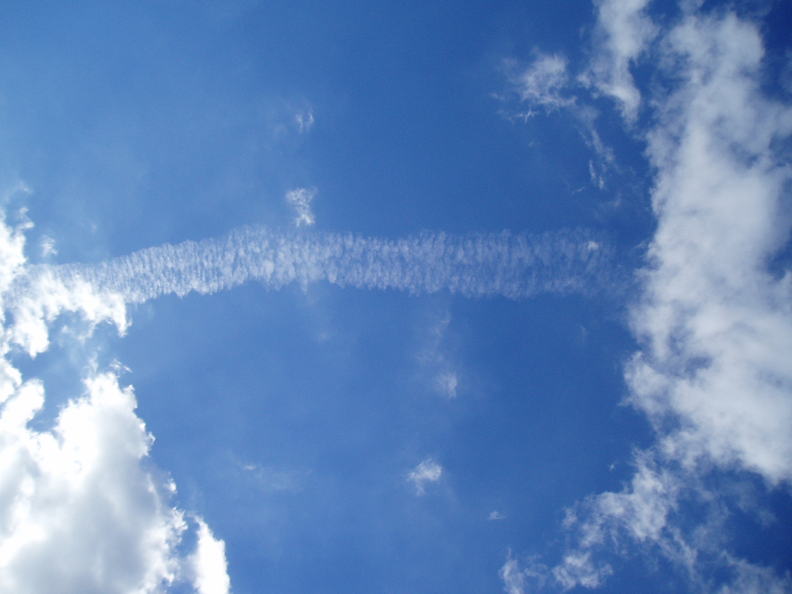 Photography by diegogualda for DesignCrowd (Community Contests) | Design #9101256