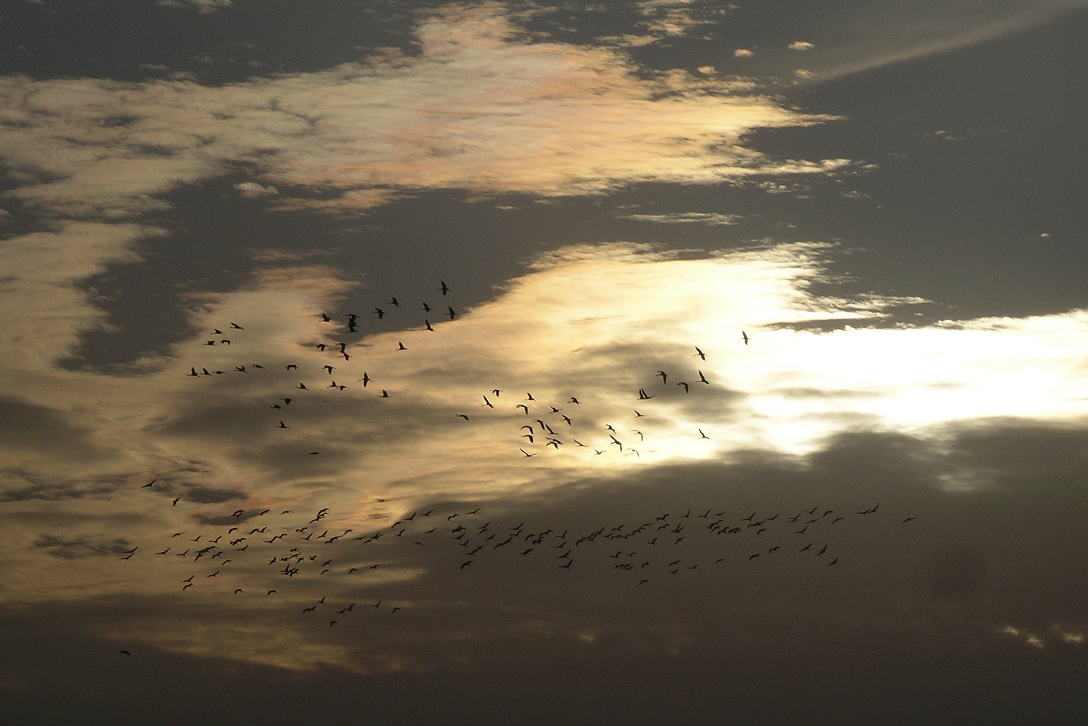 Photography by susv for DesignCrowd (Community Contests) | Design #9101262