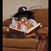 Photoshop Design by DeconstructedHarry