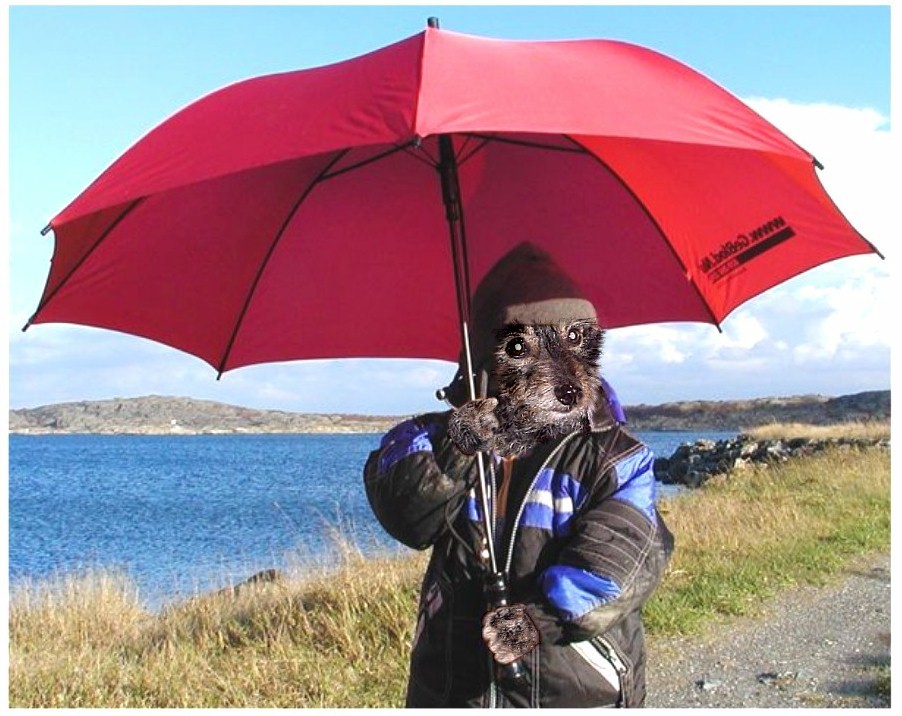 Design Photoshop par TerryLea pour DesignCrowd (Community Contests) | Design #9105164