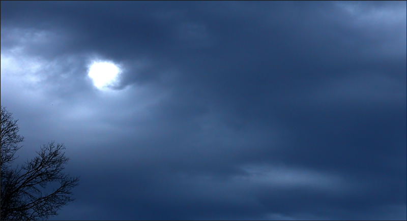 Fotografie von lilmart für DesignCrowd (Community Contests) | Design #9101266