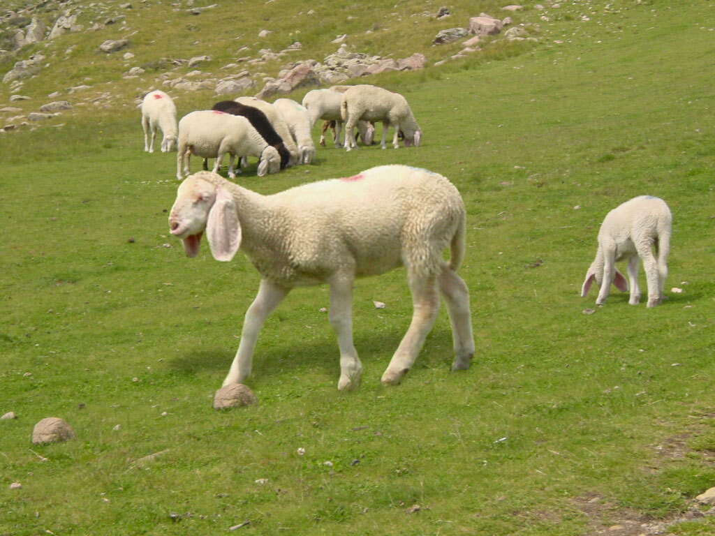 Photoshop Design by hermessz for DesignCrowd (Community Contests) | Design #9103971