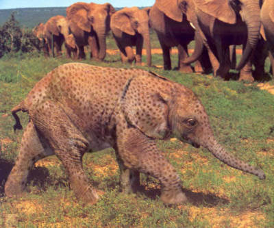 Diseño de Photoshop por pjgroove para DesignCrowd (Community Contests) | Diseño #9105190