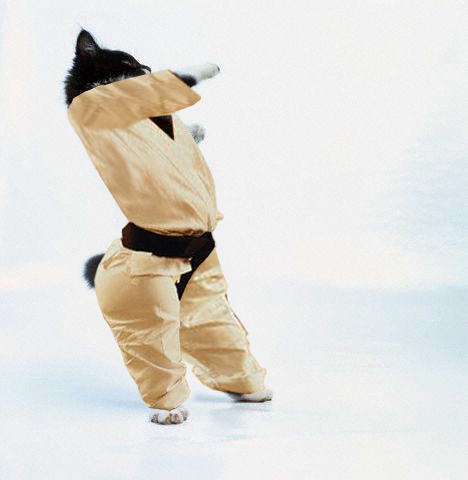 Design Photoshop par skaterdude182 pour DesignCrowd (Community Contests) | Design #9105199