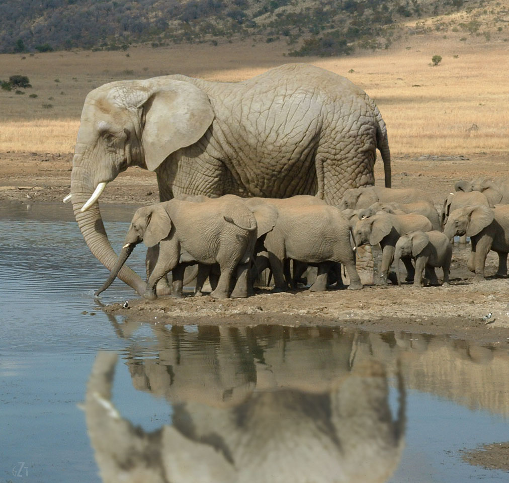 Design Photoshop par godzillatemple pour DesignCrowd (Community Contests) | Design #9103977