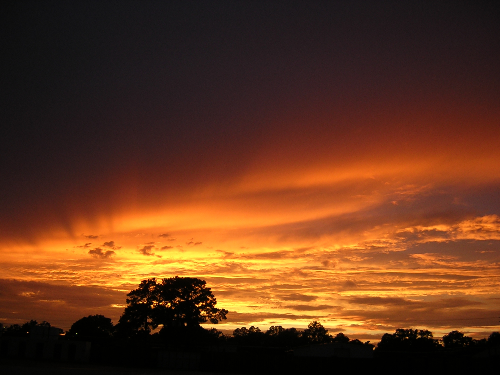 Photographie par moxieshark pour DesignCrowd (Community Contests) | Design #9101318