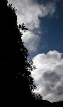 Photography by Seadiver for DesignCrowd (Community Contests) | Design #9101304