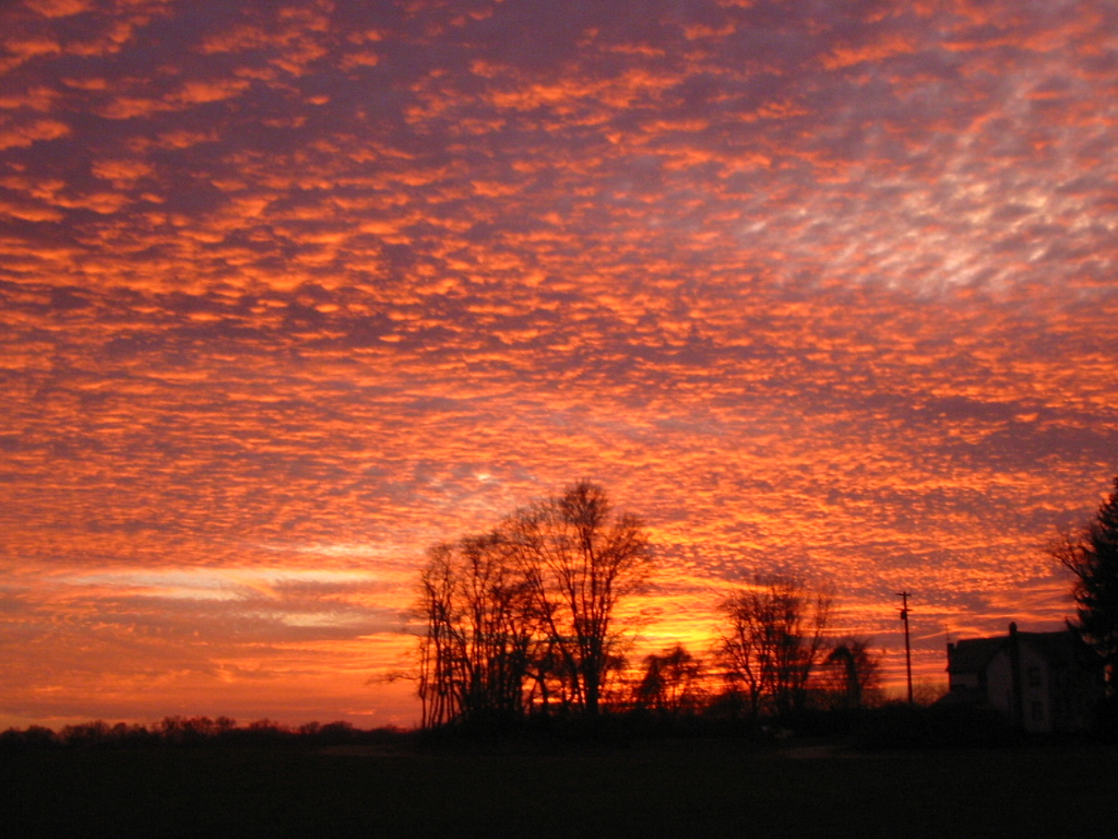 Fotografie von Tnerb1107 für DesignCrowd (Community Contests) | Design #9101443