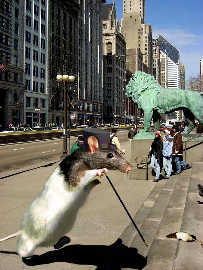 Photoshop Design by wannabe for DesignCrowd (Community Contests) | Design #9104040