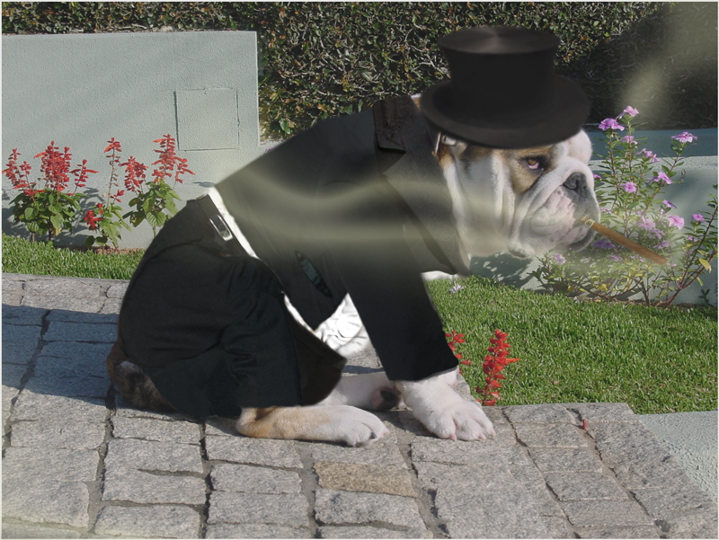 Photoshop Design by hopchet for DesignCrowd (Community Contests) | Design #9105254