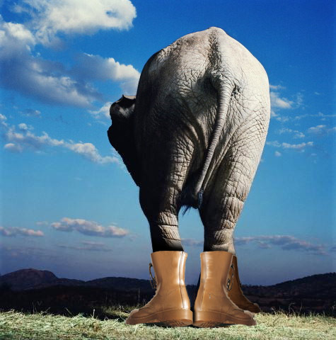 Photoshop Design by Pioner for DesignCrowd (Community Contests) | Design #9105221