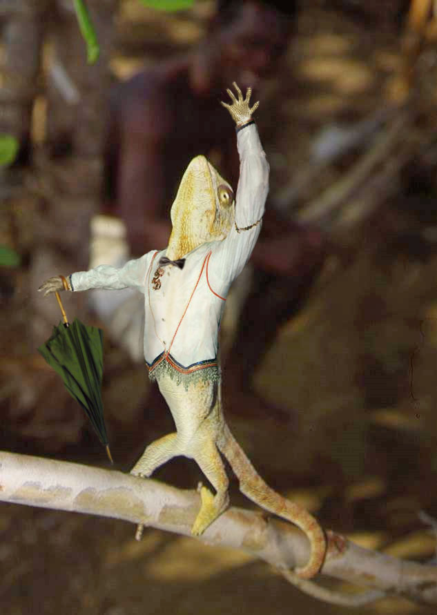 Photoshop Design by Adriaan for DesignCrowd (Community Contests) | Design #9105240