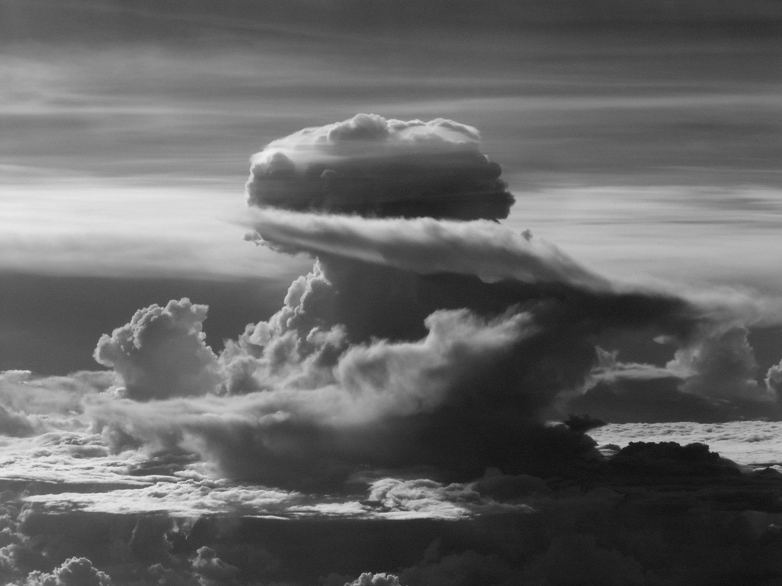 Fotografía por Featherlake para DesignCrowd (Community Contests) | Diseño #9101355