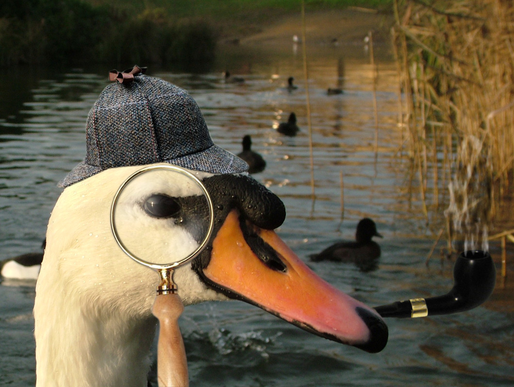 Photoshop Design by tincanblower for DesignCrowd (Community Contests) | Design #9105372