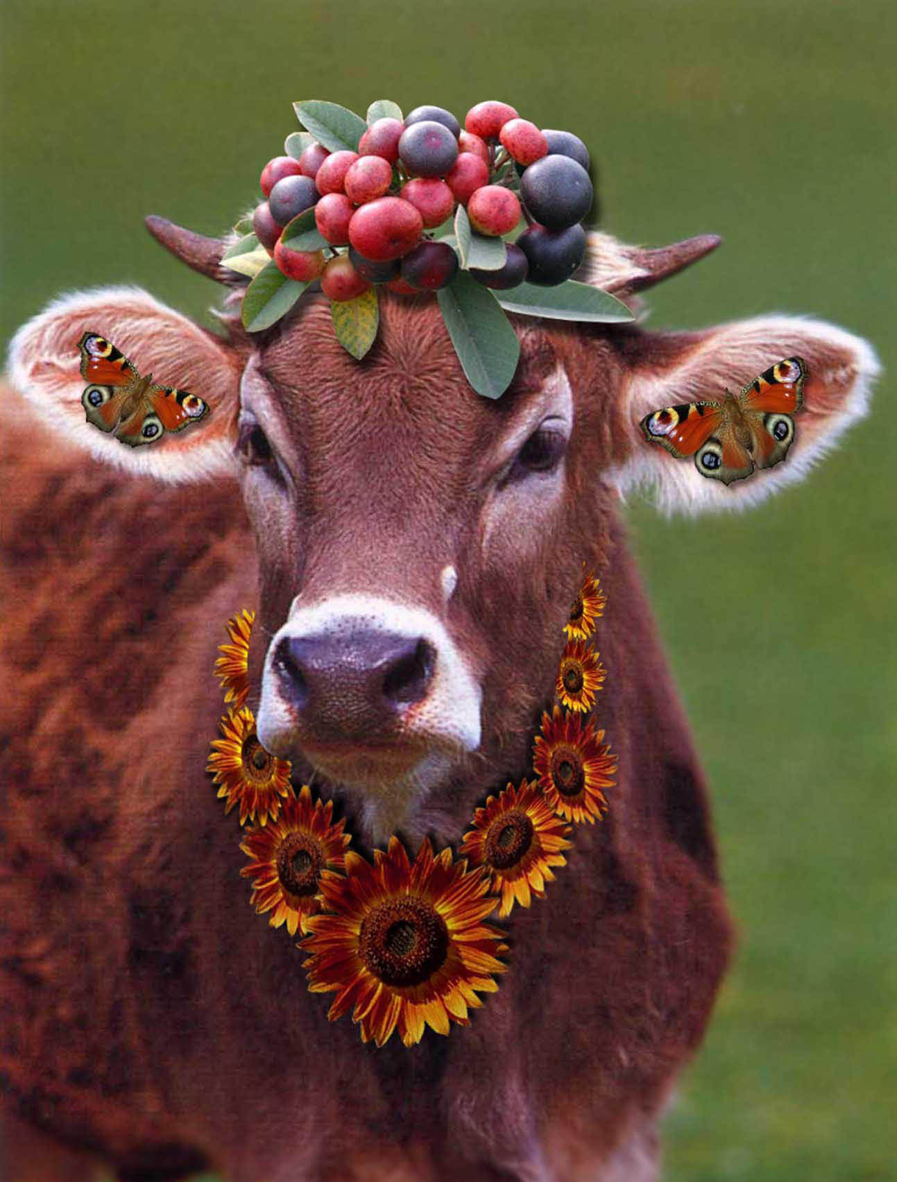 Photoshop Design by UPUPUP for DesignCrowd (Community Contests) | Design #9105360