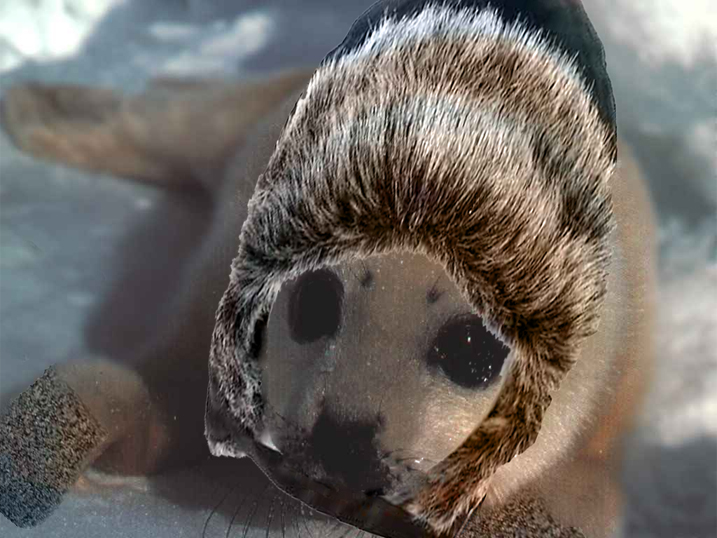 Design Photoshop par matster pour DesignCrowd (Community Contests) | Design #9105382