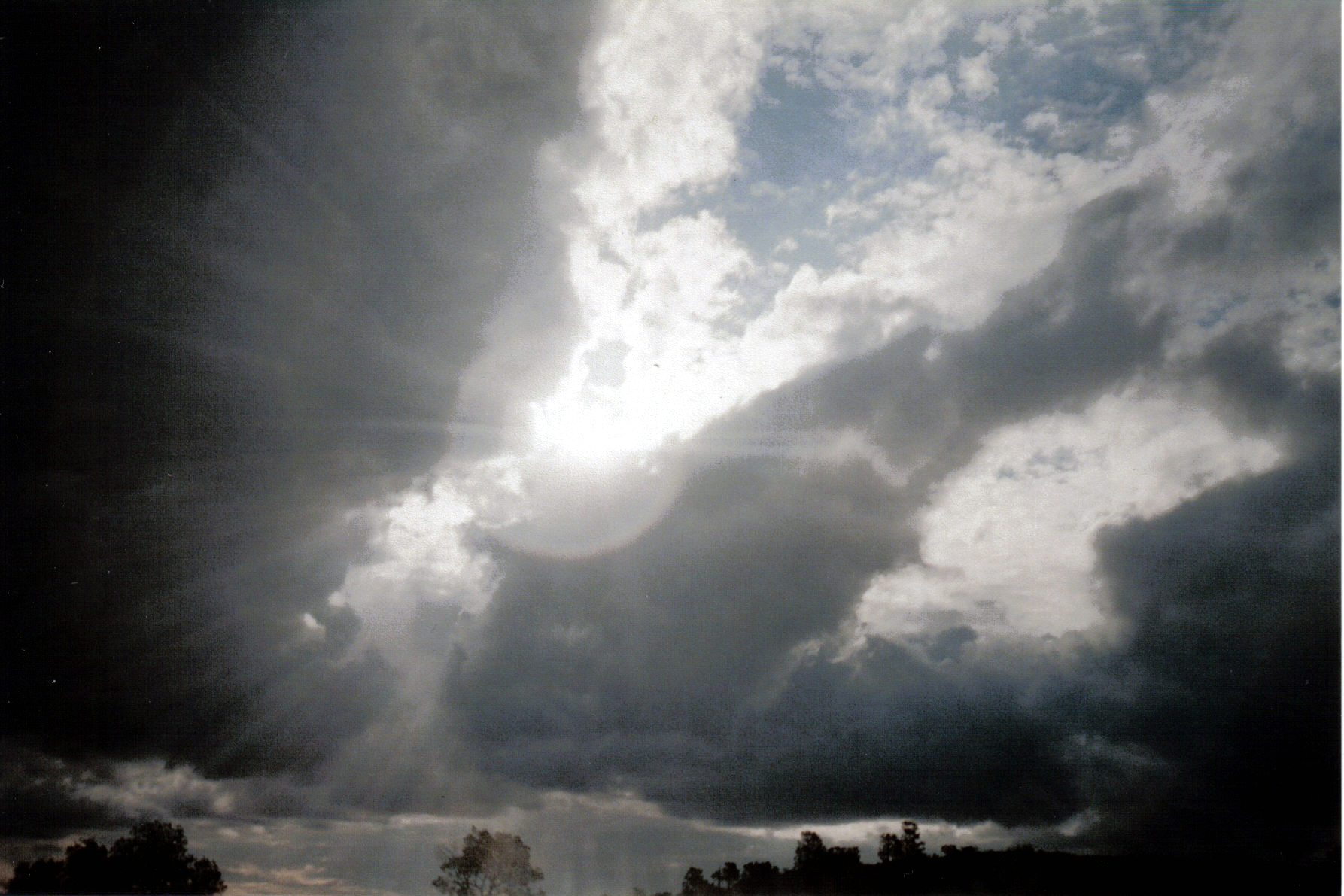 Photographie par chickensinhere pour DesignCrowd (Community Contests) | Design #9101590