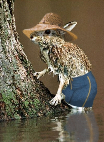 Photoshop Design by ibarra01 for DesignCrowd (Community Contests) | Design #9105378