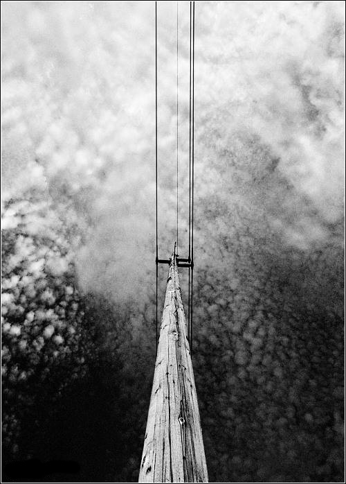 Photography by thesecretsharer for DesignCrowd (Community Contests) | Design #9101550