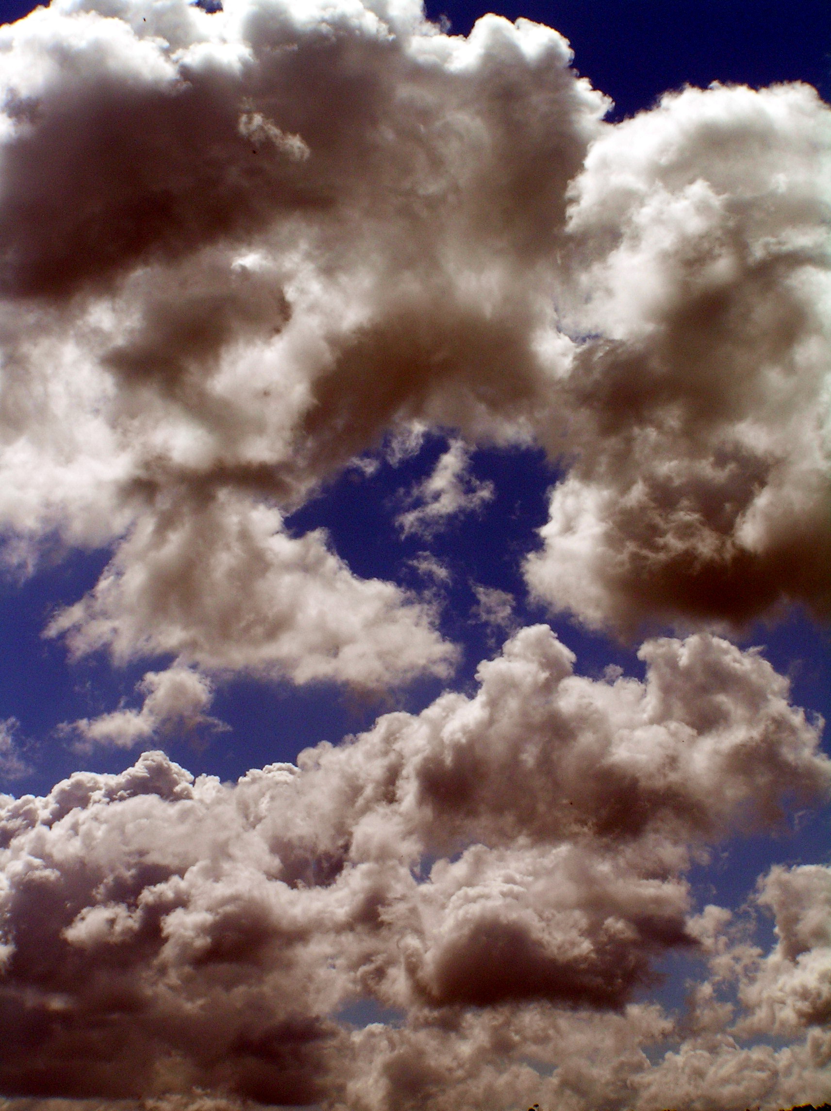 Photography by virtualstrauss for DesignCrowd (Community Contests) | Design #9101623