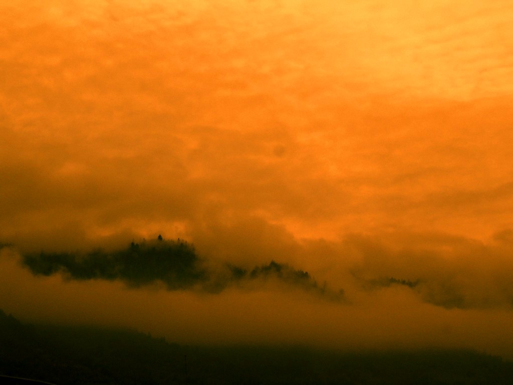 Photography by DaftGretel for DesignCrowd (Community Contests) | Design #9101494