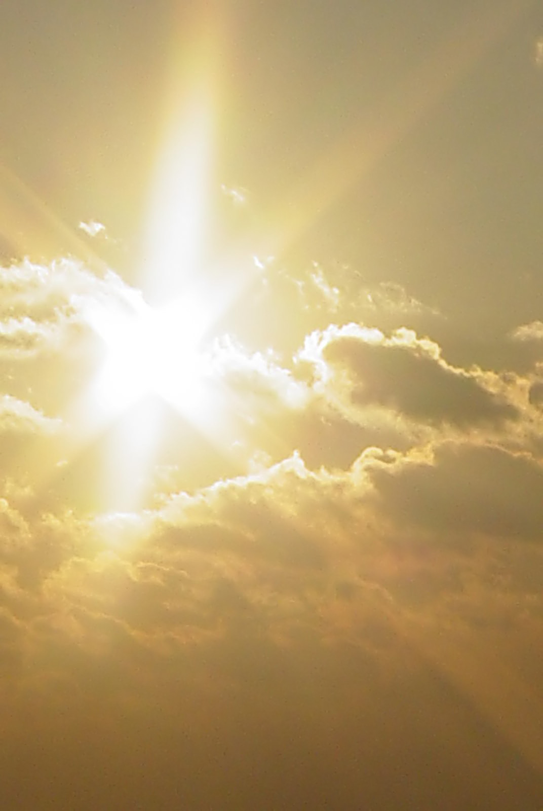 Photography by ottaia for DesignCrowd (Community Contests) | Design #9101565