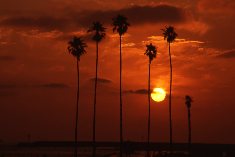 Photography by Rambis for DesignCrowd (Community Contests) | Design #9101612