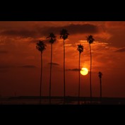 Photography by Rambis