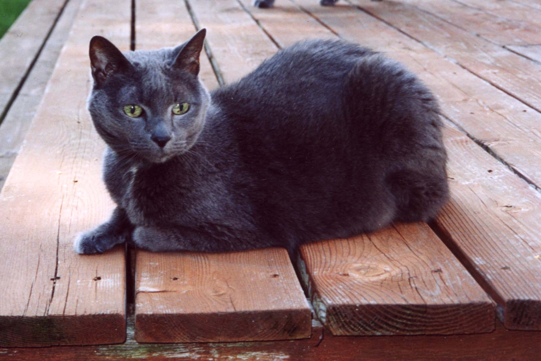 Fotografie von jebaber13 für DesignCrowd (Community Contests) | Design #9105139