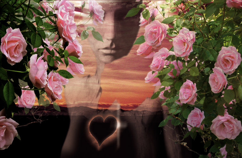 Photoshop-Design von Pelican für DesignCrowd (Community Contests) | Design #9105559