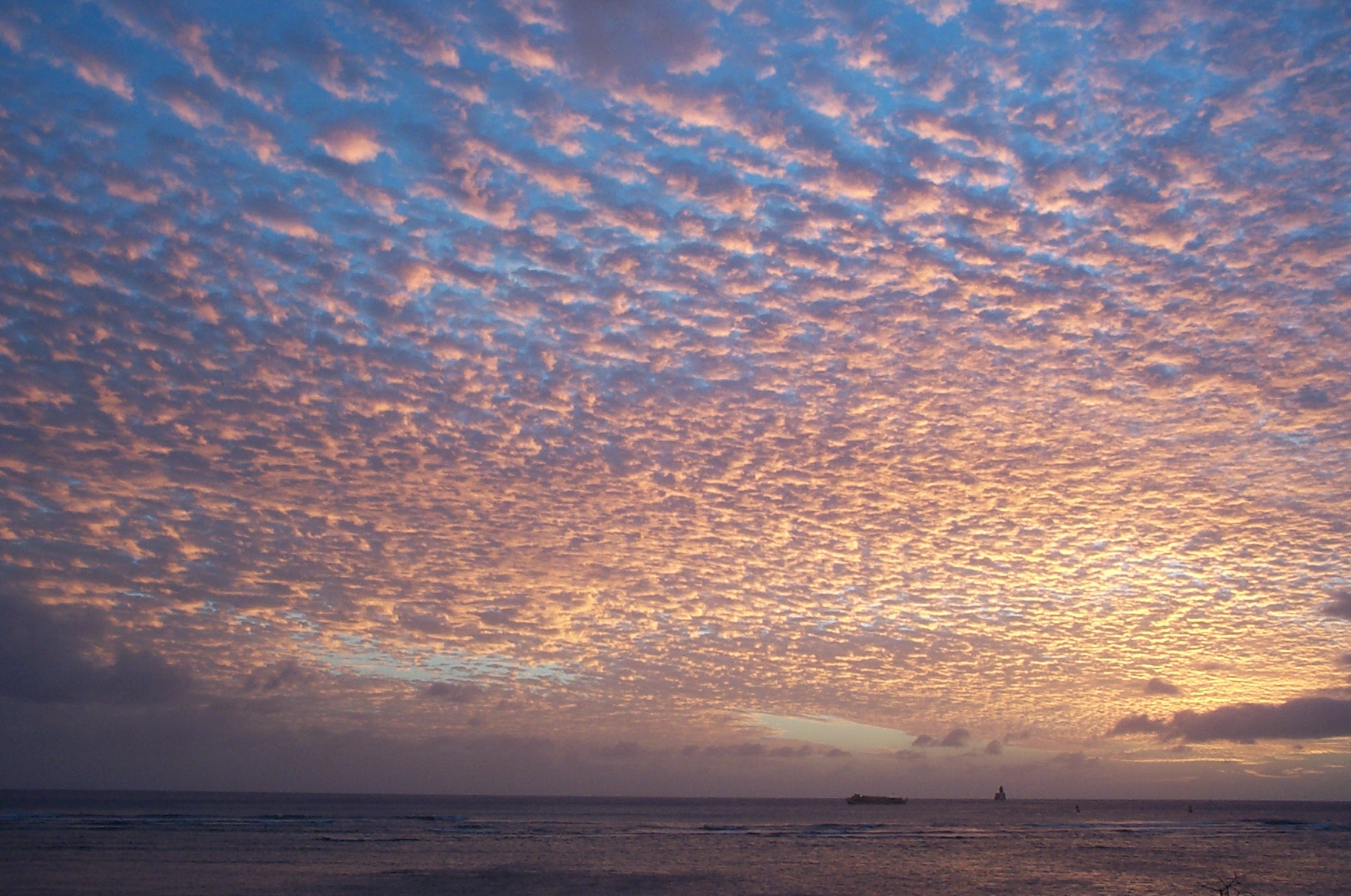 Photography by scotty2hotty for DesignCrowd (Community Contests) | Design #9101485