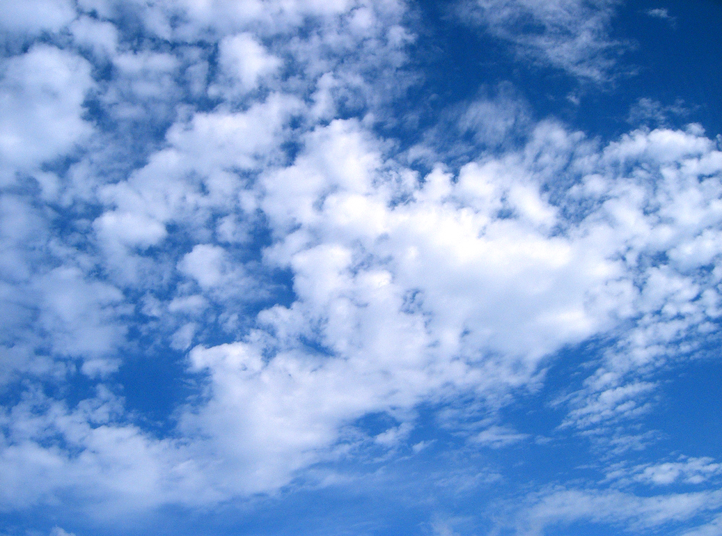 Photography by freakygenie for DesignCrowd (Community Contests) | Design #9101891