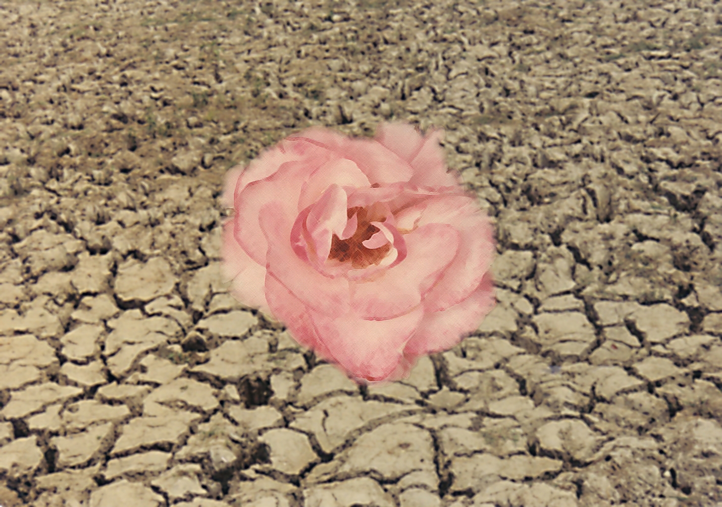 Photoshop-Design von eye2eye für DesignCrowd (Community Contests) | Design #9105597