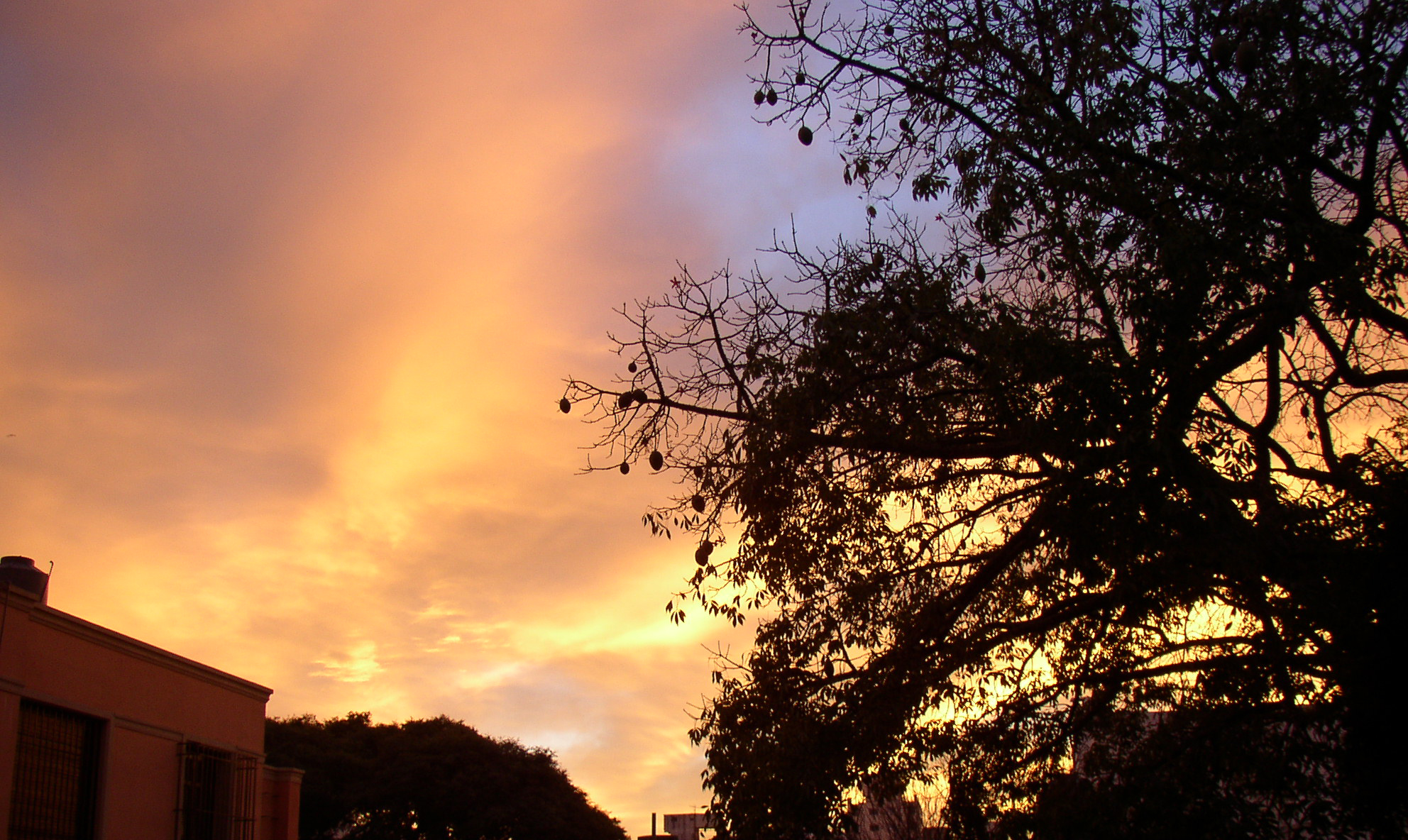 Photography by sofisofi for DesignCrowd (Community Contests) | Design #9102019