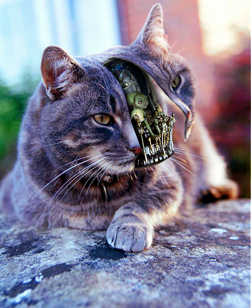 Diseño de Photoshop por chris_ para DesignCrowd (Community Contests) | Diseño #9105695