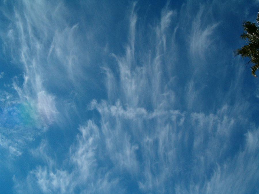 Photography by Ivor121 for DesignCrowd (Community Contests) | Design #9101868