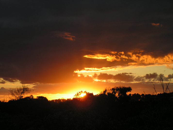 Fotografía por greenmachine para DesignCrowd (Community Contests) | Diseño #9101956