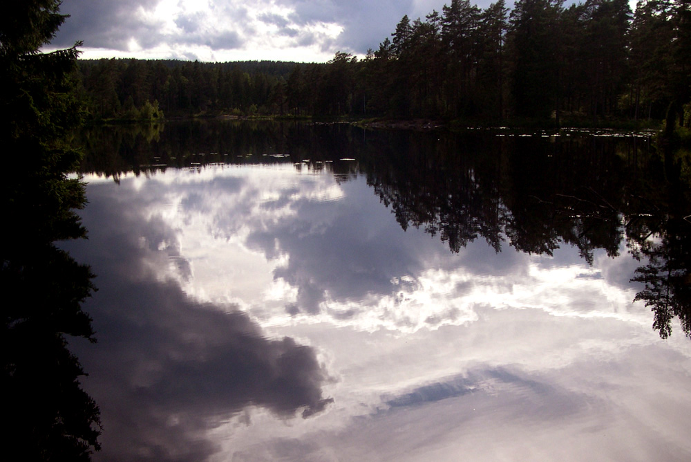 Photography by Edwardxl for DesignCrowd (Community Contests) | Design #9101846