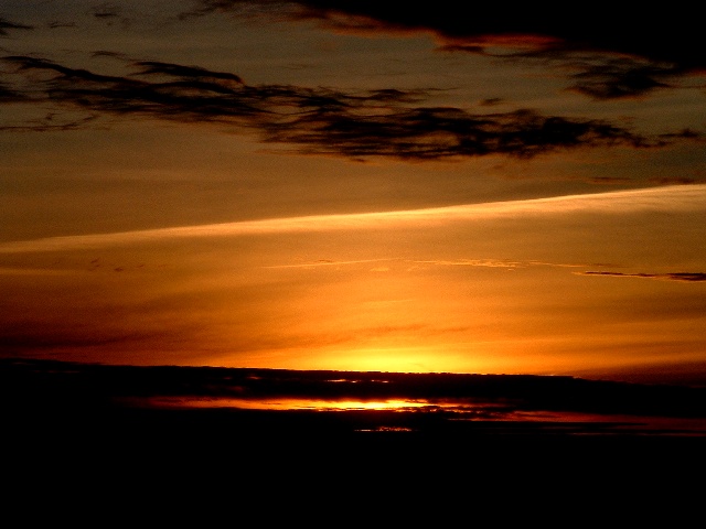 Fotografie von MrsFuzzButt für DesignCrowd (Community Contests) | Design #9101773